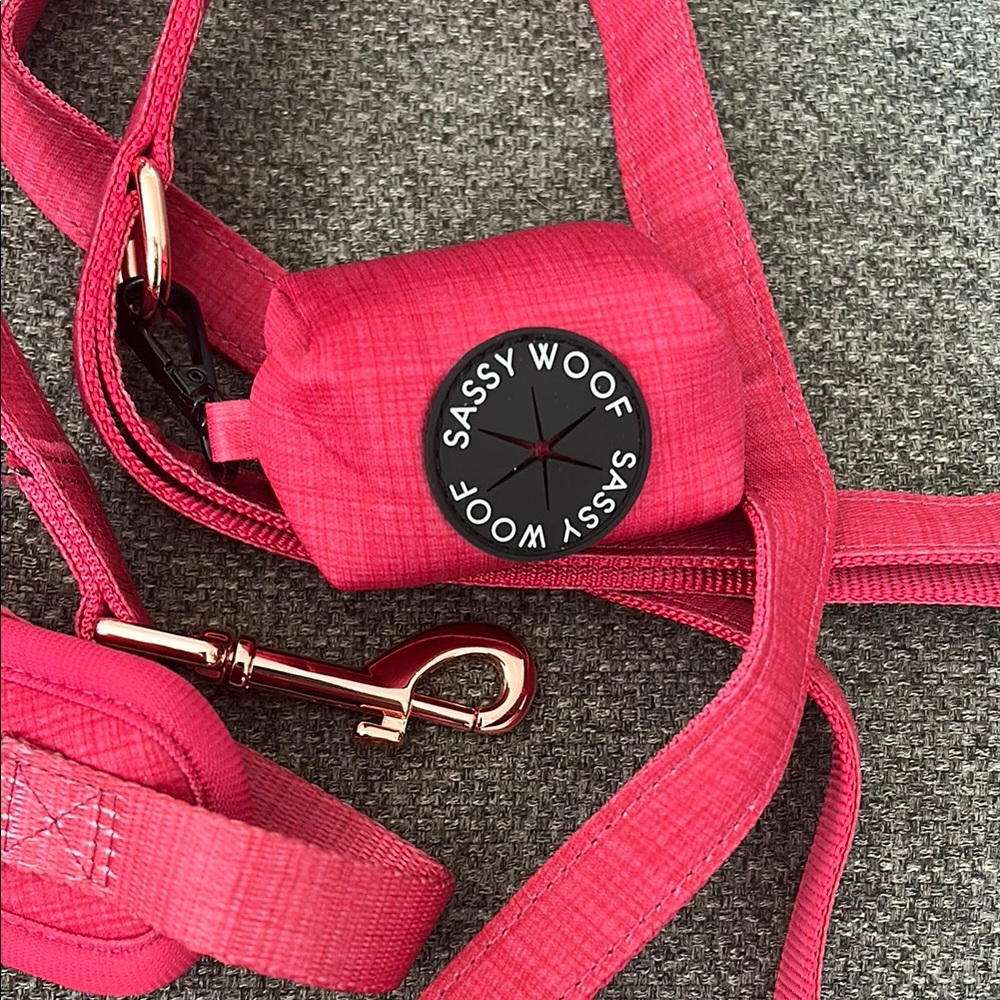 Sassy Woof Red Dog Walking Set - brand new never worn! - Picture 5 of 5